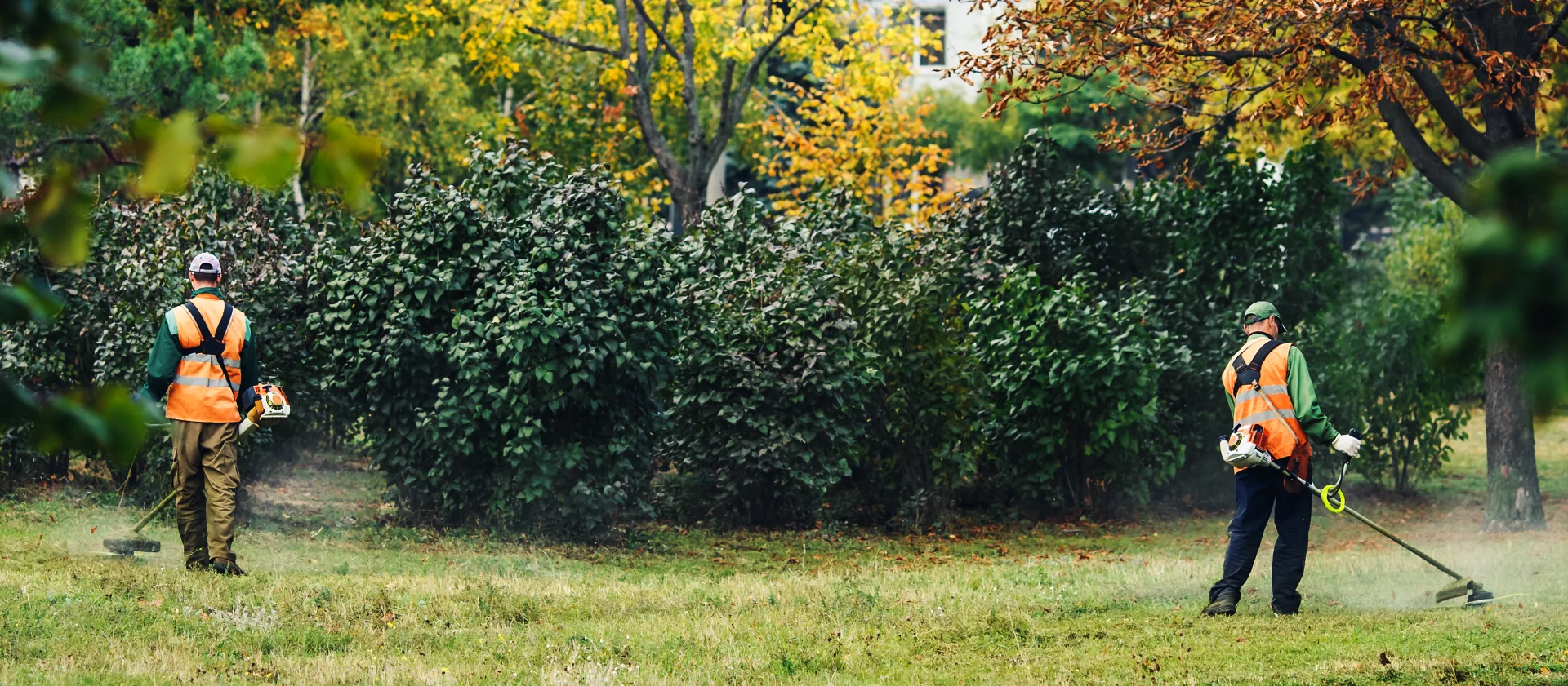 Grounds crew in high-visibility gear trimming a dense hedgerow